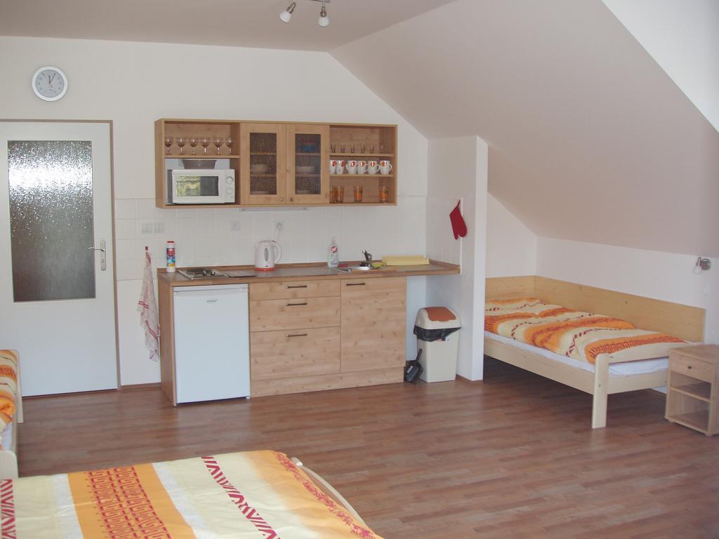 Orbit Karlov Pod Pradedem Homestay *